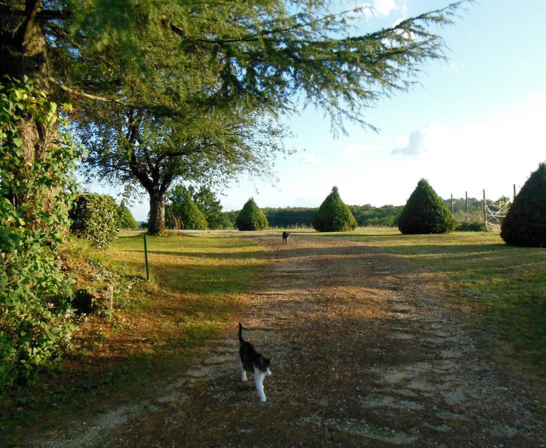Hauts De Sentelines Sejour Authentique En Pleine Nature Gavaudun Exterior foto